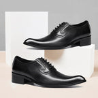 Men's Stately Pointed Oxfords: Premier Fashion Occasion Dress Shoesyes