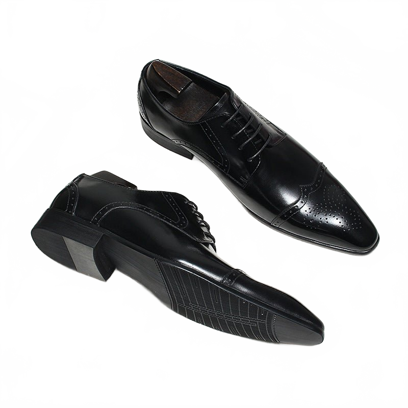 Black Hand-painted Genuine Leather Pointed Toe Derby Dress Shoes