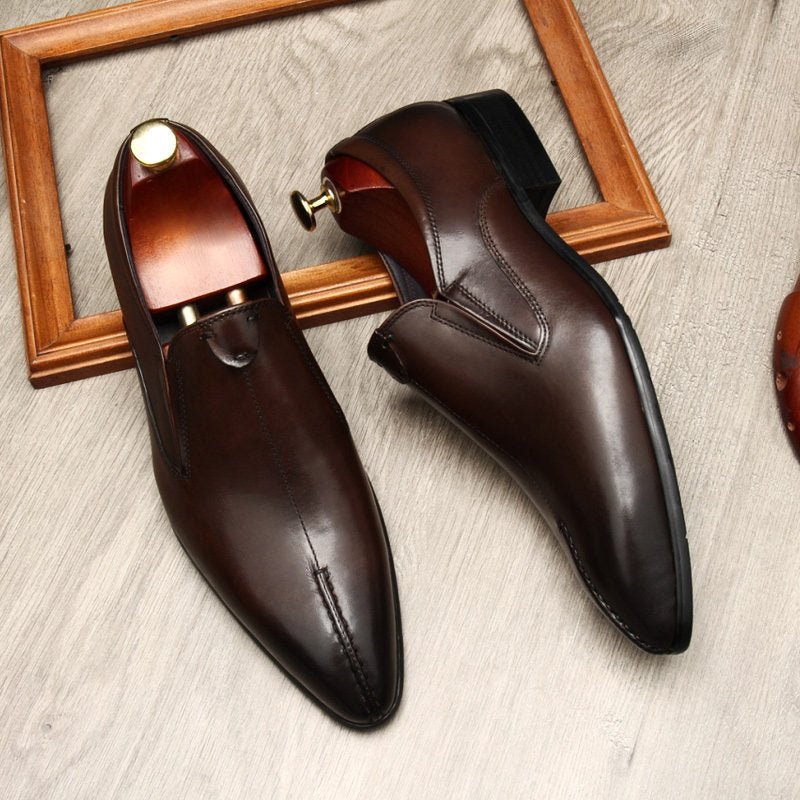 Dark Brown Pointed Toe Leather Loafers for Executive Business Professionals